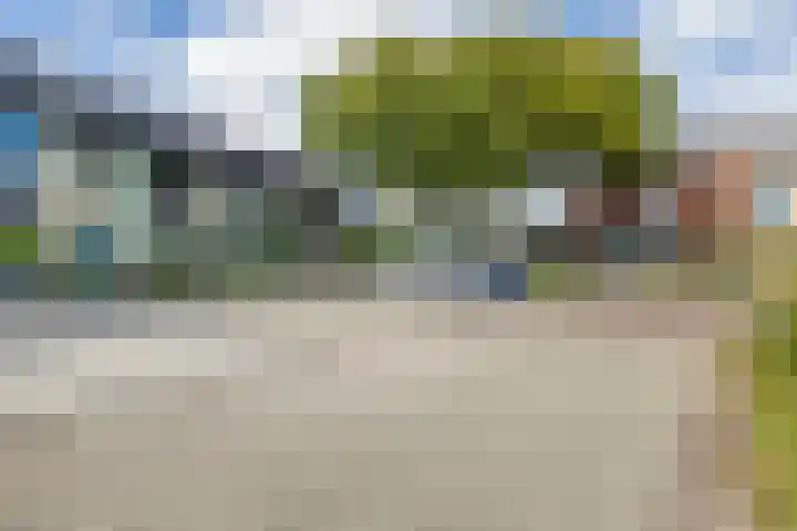 Schelde 68 Hoogeveen thumbnail 46