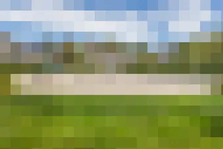Schelde 68 Hoogeveen thumbnail 47