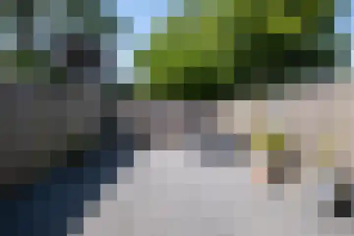 Schelde 9 Heerhugowaard thumbnail 29
