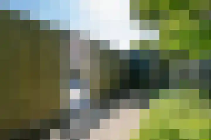 Schelde 9 Heerhugowaard thumbnail 30