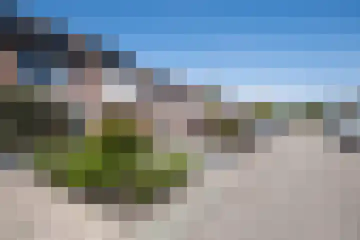 Schelde 9 Heerhugowaard thumbnail 32