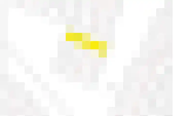 Schelde 9 Heerhugowaard thumbnail 36