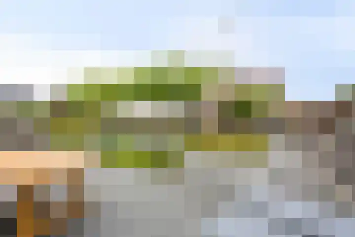Schelde-Rijnweg 68 Tholen thumbnail 35