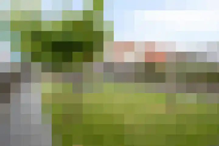 Schelde-Rijnweg 68 Tholen thumbnail 37