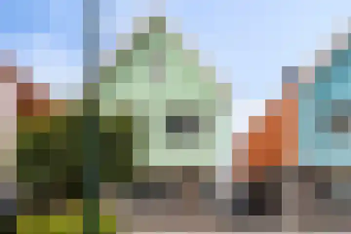 Schelde-Rijnweg 68 Tholen thumbnail 41