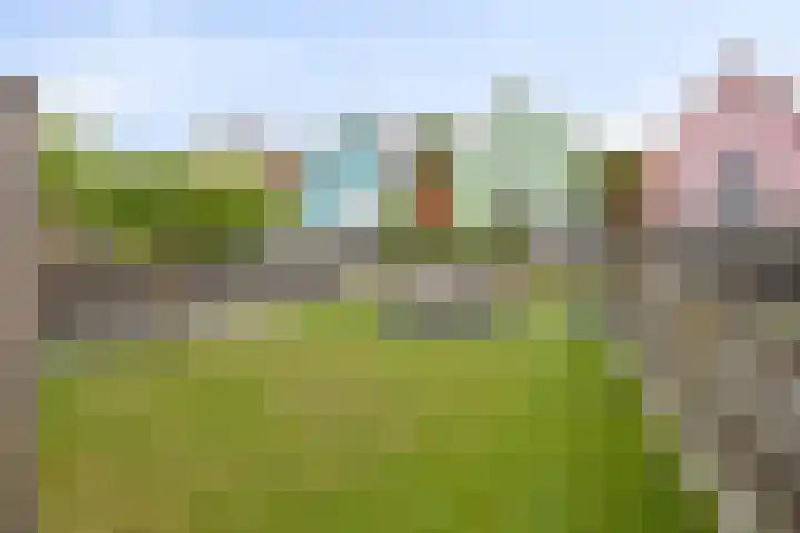 Schelde-Rijnweg 68 Tholen thumbnail 7