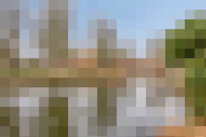 Scheldedal 104 Capelle aan den IJssel thumbnail 46