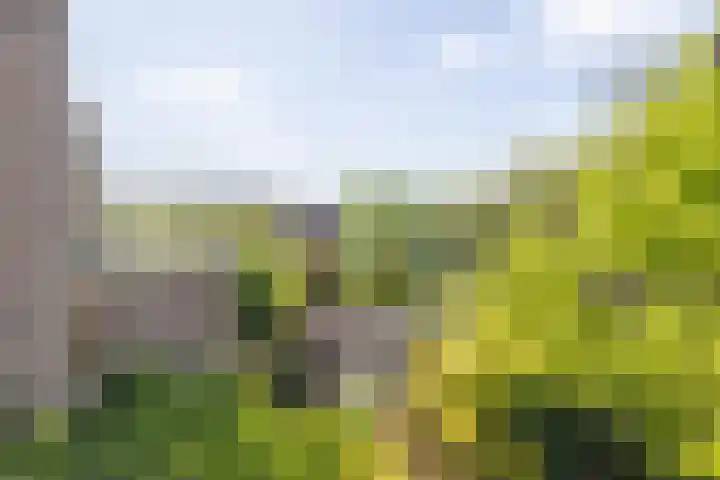 Scheldedal 106 Capelle aan den IJssel thumbnail 54