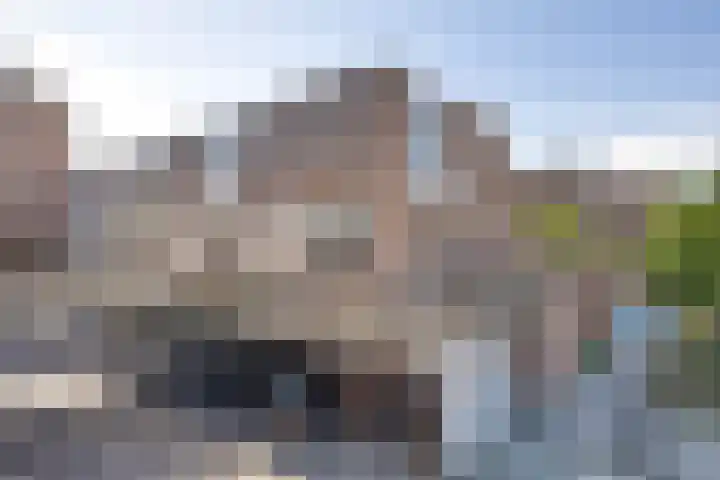 Scheldedal 106 Capelle aan den IJssel thumbnail 72