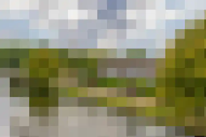 Scheldedal 27 Capelle aan den IJssel thumbnail 30
