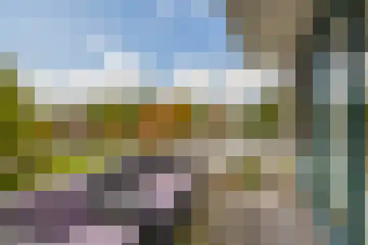 Scheldedal 27 Capelle aan den IJssel thumbnail 4