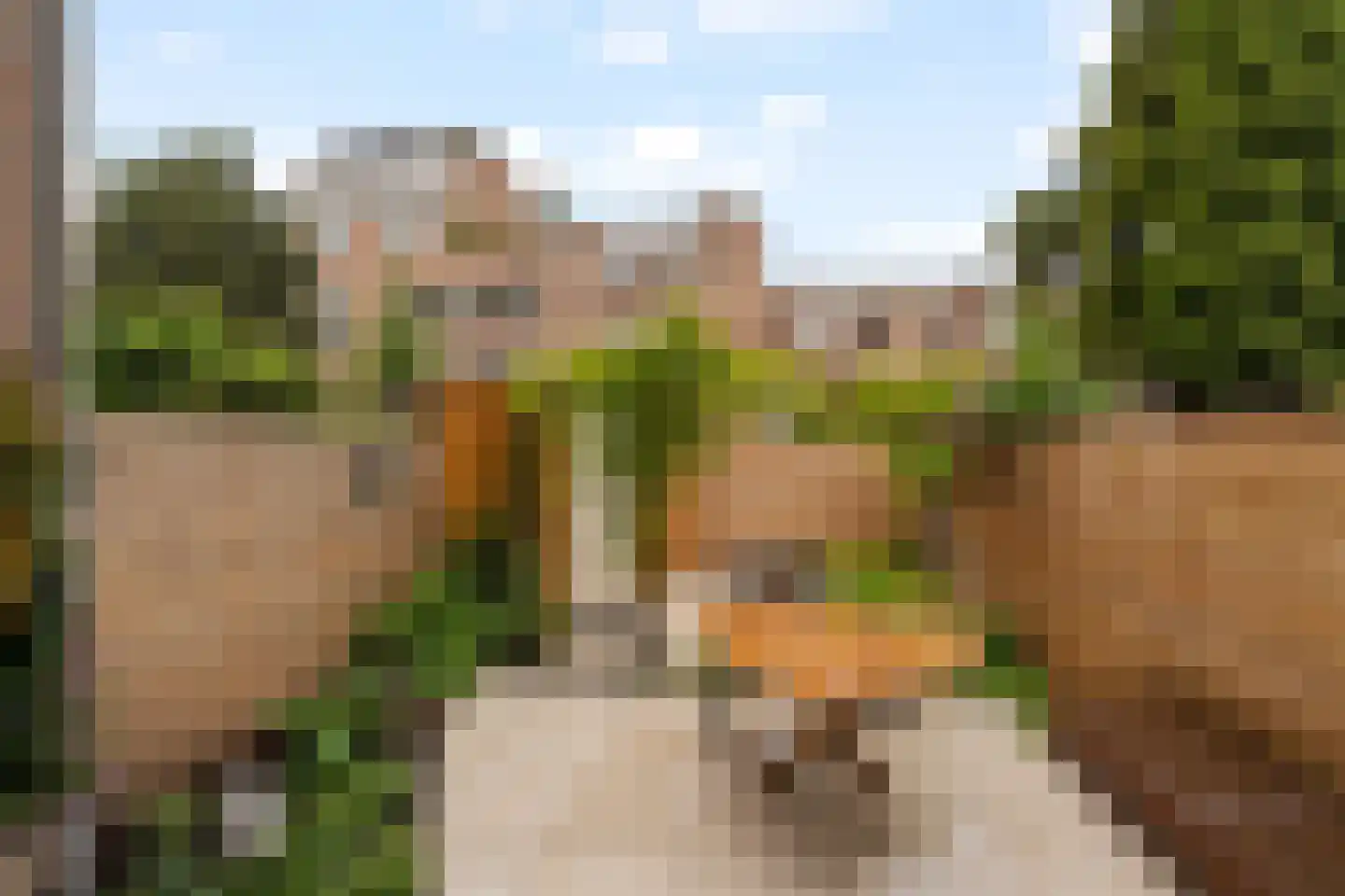 Scheldedal 67 Capelle aan den IJssel thumbnail 4