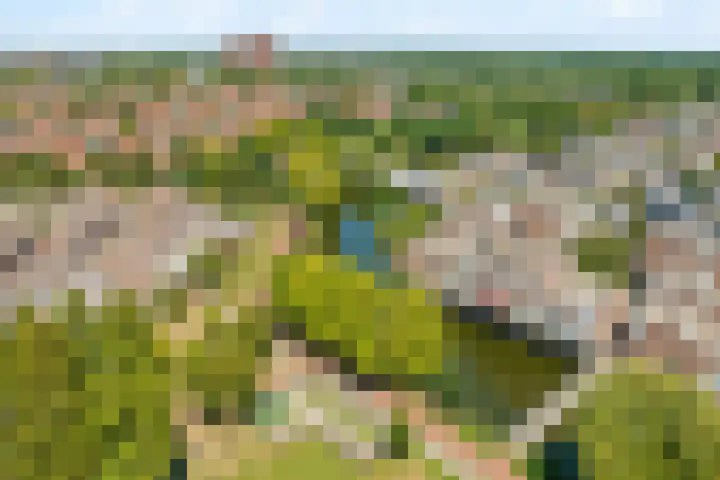 Scheldedal 87 Capelle aan den IJssel thumbnail 7