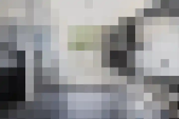 Scheldehof 11 Veghel thumbnail 10