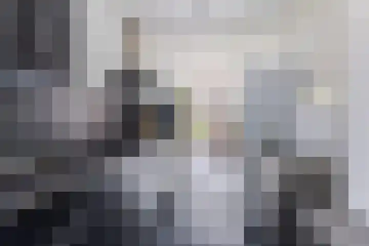Scheldehof 11 Veghel thumbnail 12