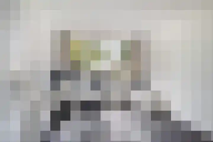 Scheldehof 11 Veghel thumbnail 17