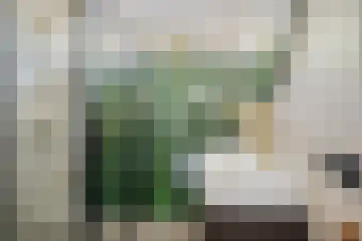 Scheldehof 11 Veghel thumbnail 19