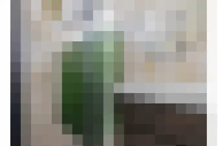 Scheldehof 11 Veghel thumbnail 20