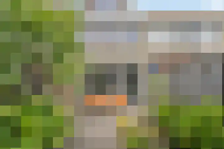 Scheldehof 11 Veghel thumbnail 27