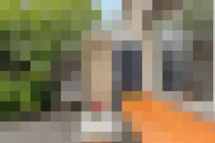 Scheldehof 11 Veghel thumbnail 28