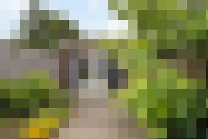 Scheldehof 11 Veghel thumbnail 29