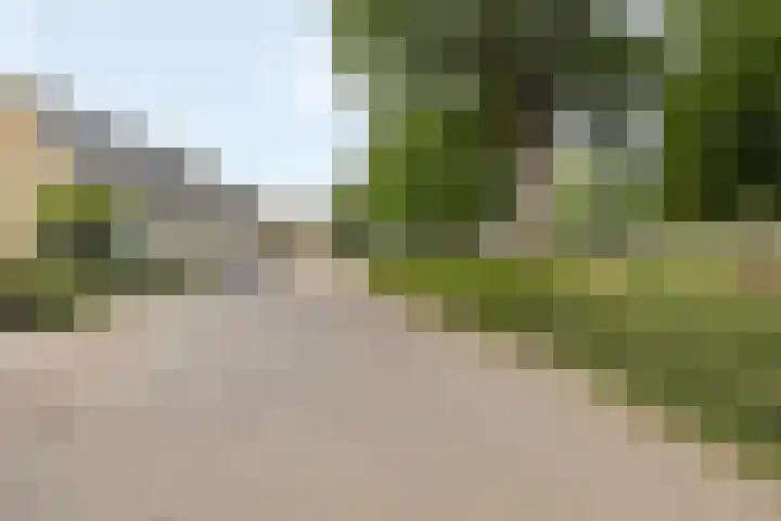 Scheldehof 11 Veghel thumbnail 32