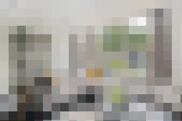 Scheldehof 11 Veghel thumbnail 8
