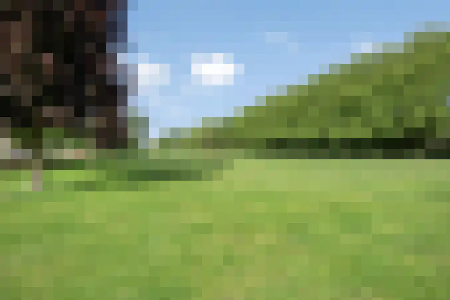 Scheldehof 12 Veldhoven thumbnail 7