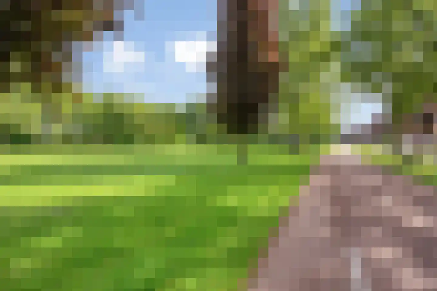 Scheldehof 12 Veldhoven thumbnail 9