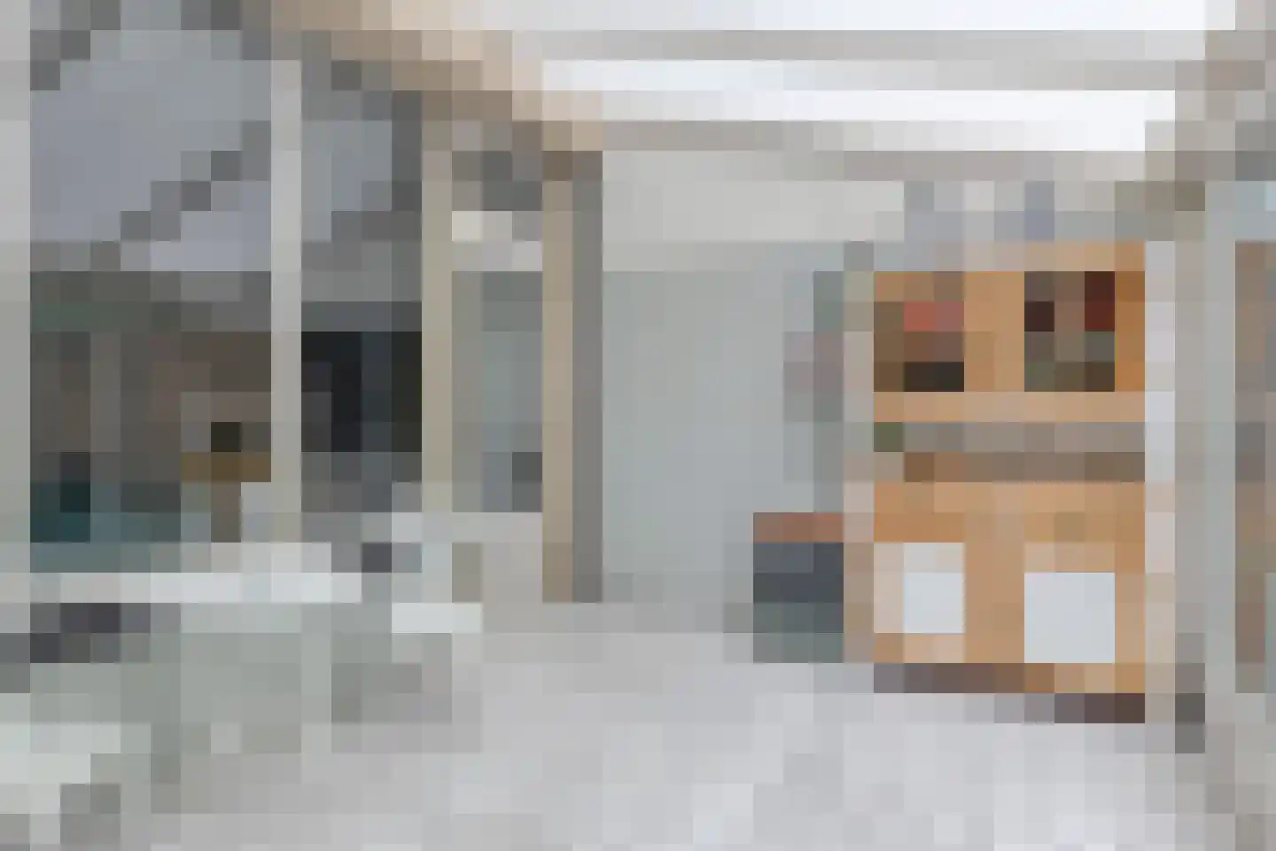 Scheldehof 21 Veghel thumbnail 13