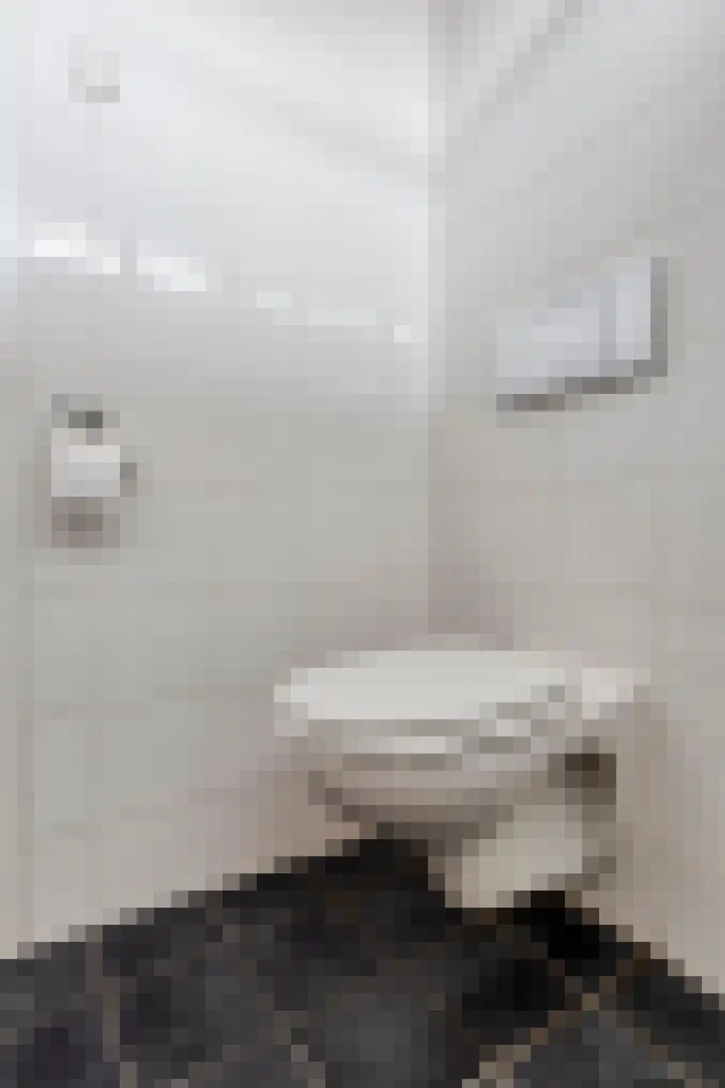 Scheldehof 21 Veghel thumbnail 22