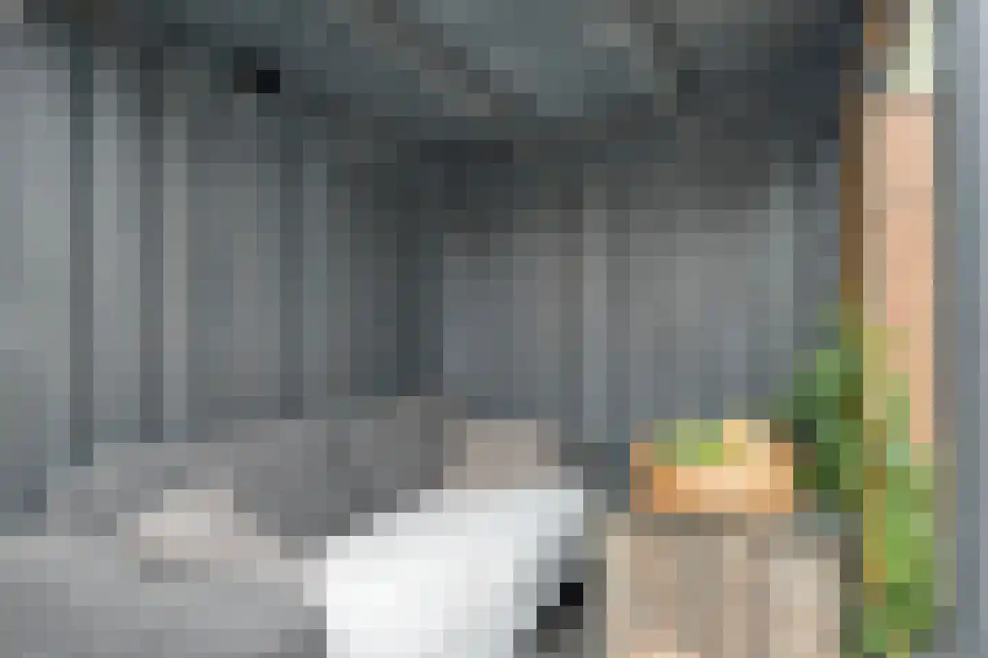 Scheldehof 21 Veghel thumbnail 30