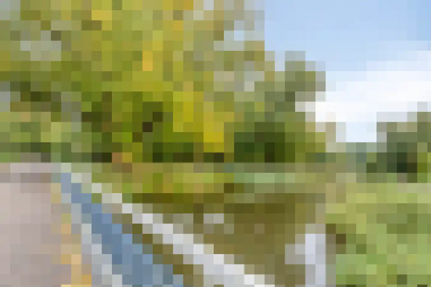 Scheldehof 21 Veghel thumbnail 34