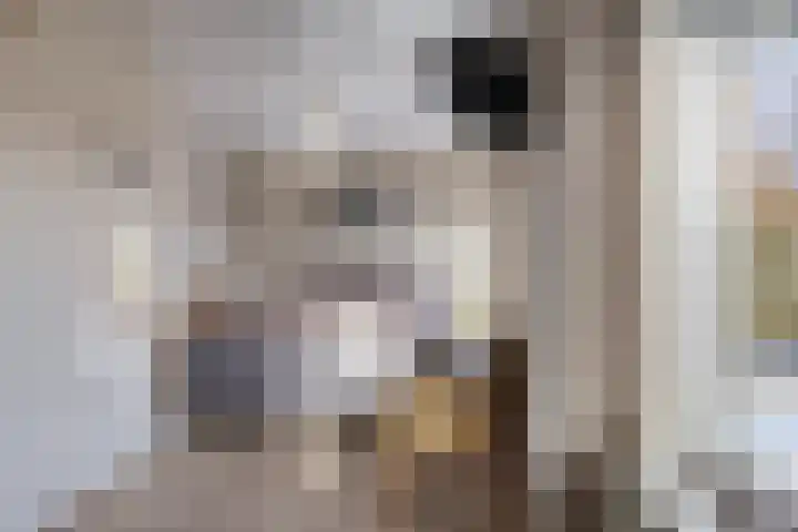 Scheldehof 3 Veldhoven thumbnail 12