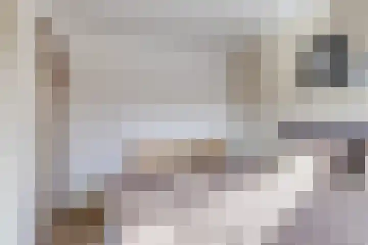Scheldehof 3 Veldhoven thumbnail 13