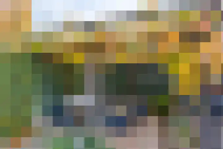Scheldehof 3 Veldhoven thumbnail 21