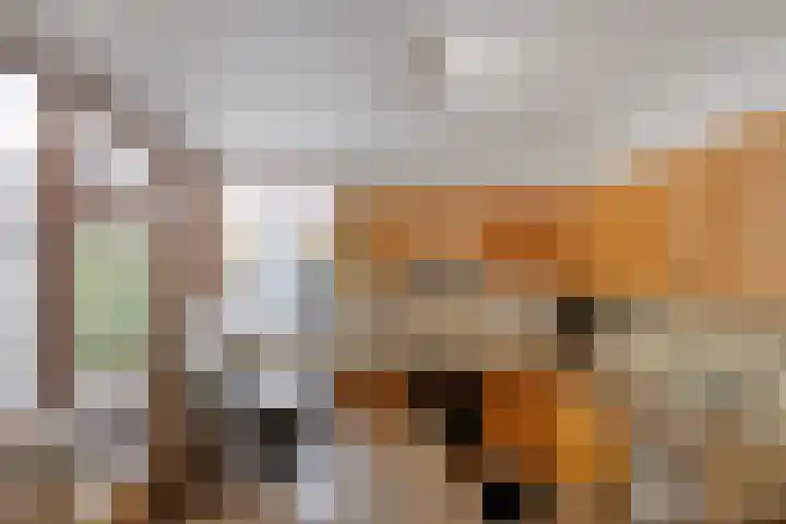 Scheldehof 3 Veldhoven thumbnail 9