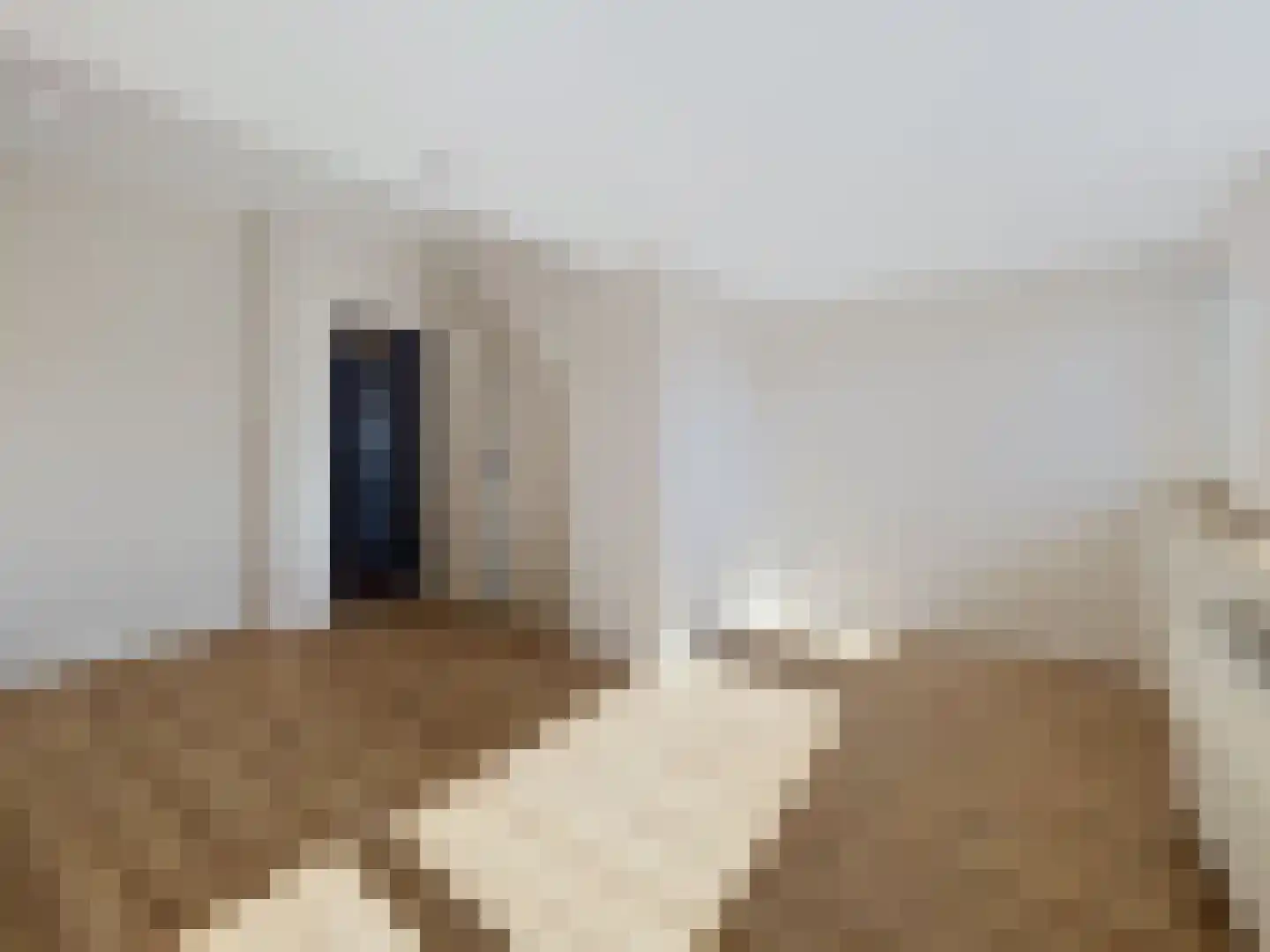 Scheldekade 23 Breskens thumbnail 16