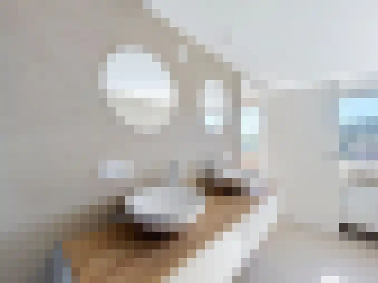 Scheldekade 23 Breskens thumbnail 20
