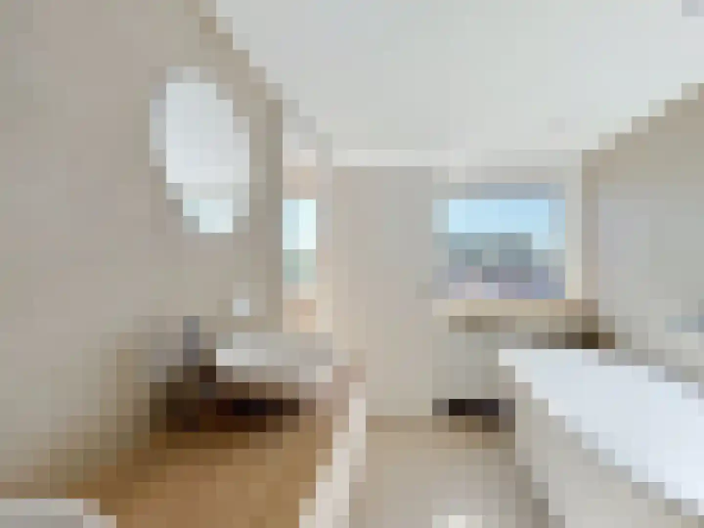 Scheldekade 23 Breskens thumbnail 21