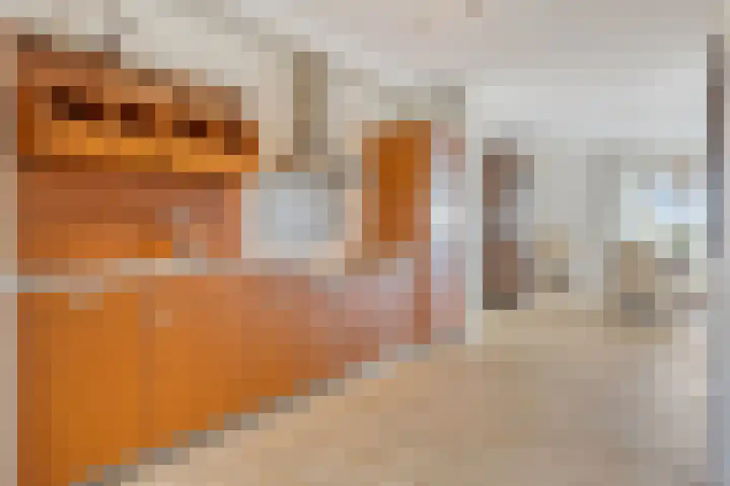Scheldekade 32 202 Breskens thumbnail 18
