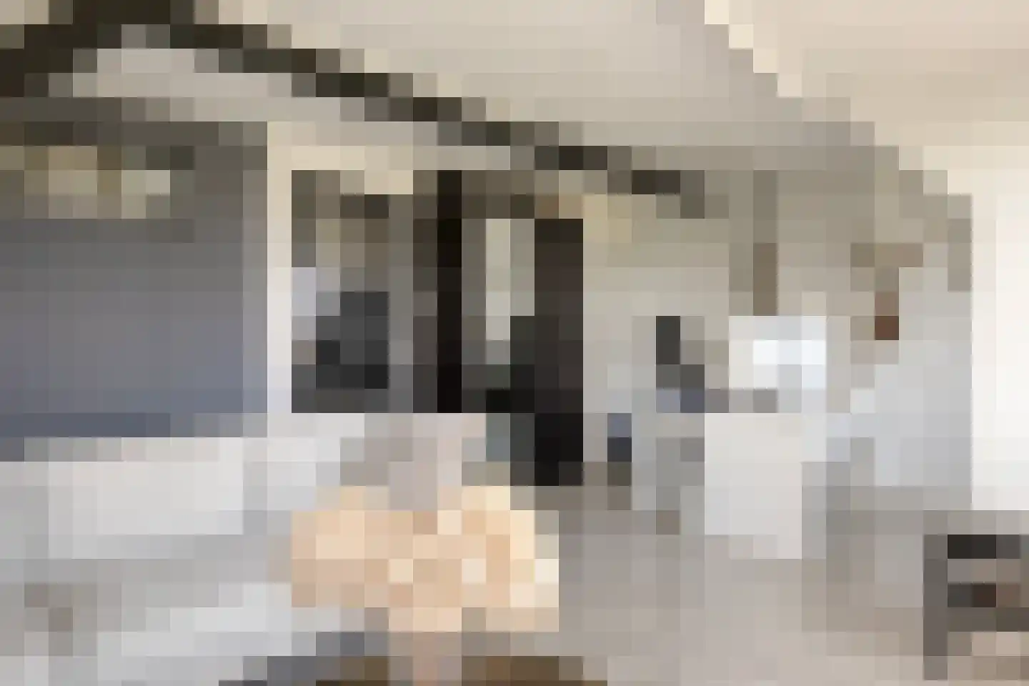 Scheldekade 44 Terneuzen thumbnail 30