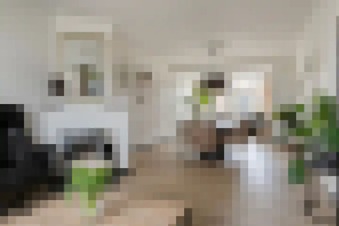 Scheldekade 44 Terneuzen thumbnail 8