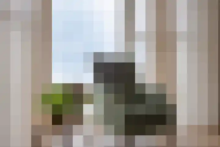 Scheldekade 57 d Terneuzen thumbnail 13