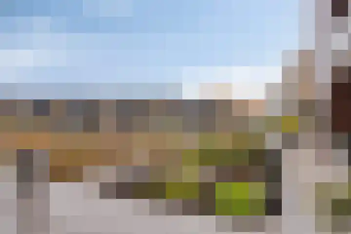 Scheldekade 57 d Terneuzen thumbnail 31