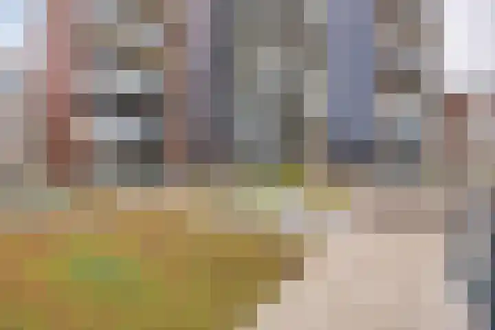 Scheldekade 57 d Terneuzen thumbnail 32