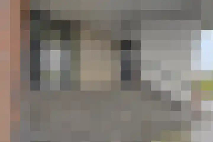 Scheldekade 57 d Terneuzen thumbnail 6