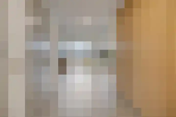 Scheldekade 57 d Terneuzen thumbnail 8