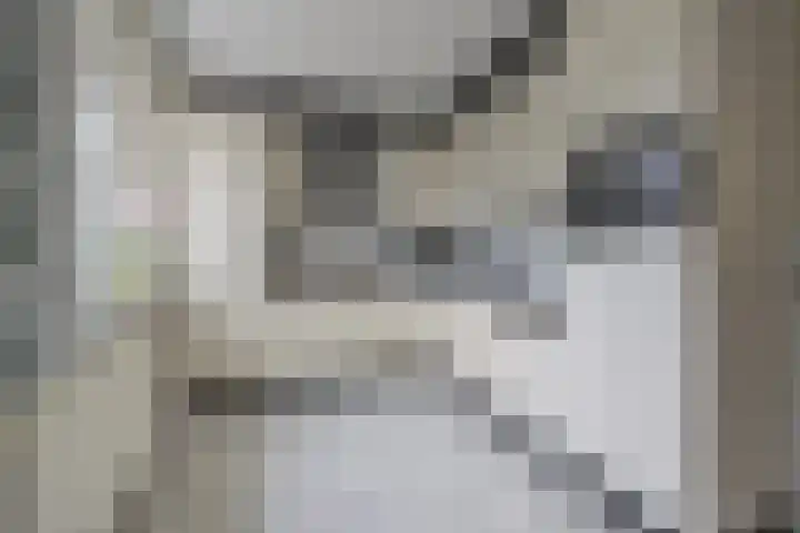 Scheldelaan 12 Hoeven thumbnail 13