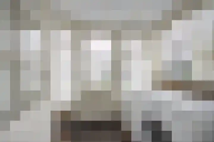 Scheldelaan 12 Hoeven thumbnail 15